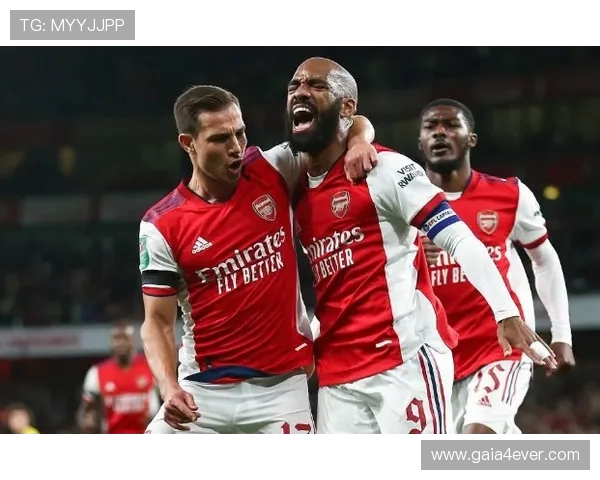 西汉姆联有意引进布莱顿中卫伊戈尔 计划加强防线