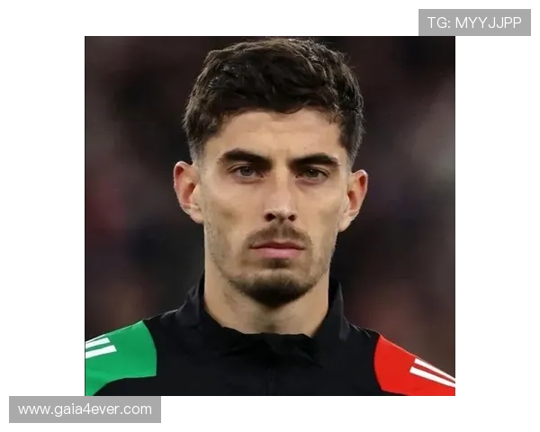 天空体育称斯图加特继续与阿森纳就法比奥维埃拉转会事宜保持谈判