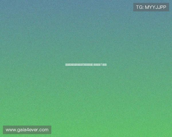 本菲卡主席候选人透露已为B席准备好合同 若当选最快1月加盟