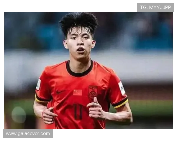 王钰栋热身遭飞踹受伤严重 经纪人金畅称其膝盖长期超负荷承受压力