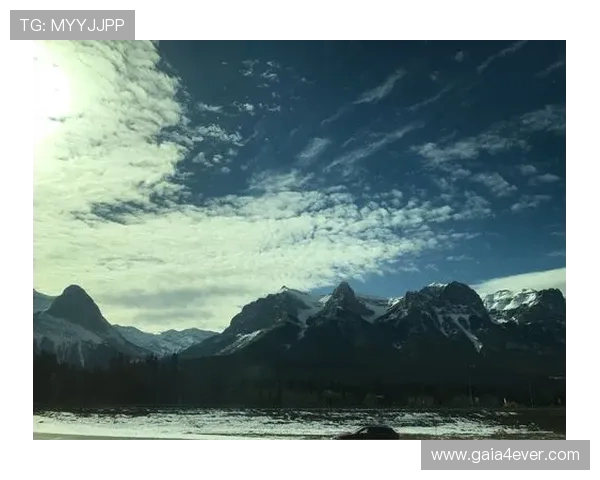 德天空报道卡尔明年年满十八岁后合同将自动升级为职业合同